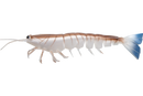 Irukandji Mega Prawn Lures