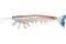 Irukandji Mega Prawn Lures