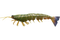 Irukandji Mega Prawn Lures