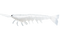 Irukandji Mega Prawn Lures