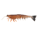 Irukandji Mega Prawn Lures