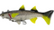 Panic Station The Mullet Soft Plastic Fishing Lures