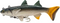 Panic Station The Mullet Soft Plastic Fishing Lures