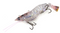 Chasebaits Armour Prawn Lures