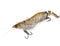 Chasebaits Armour Prawn Lures