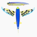 NOMAD SLIPSTREAM FLYING FISH PACK